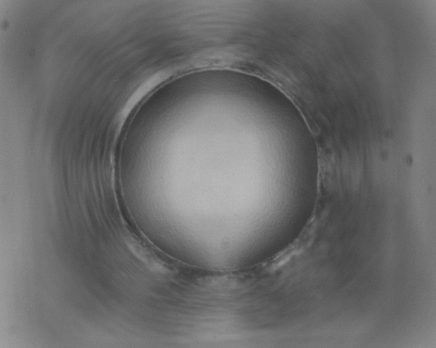 X0000076240100200610122150