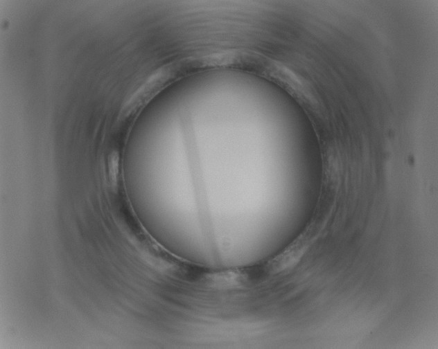 X0000076240118200610122150