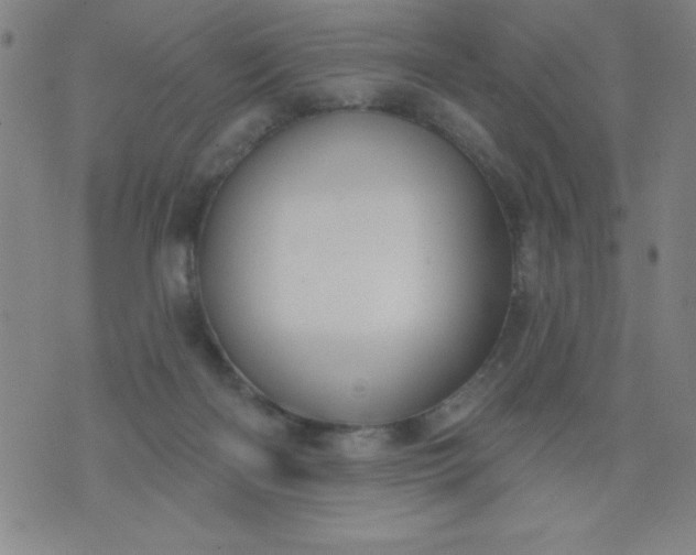 X0000076240122200610122150