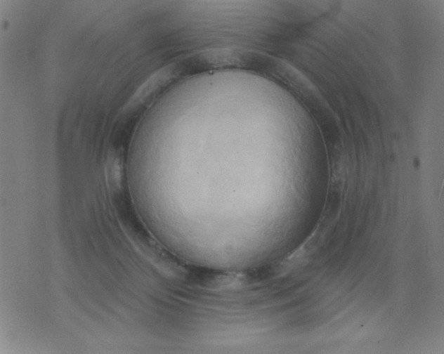 X0000076240124200610122150