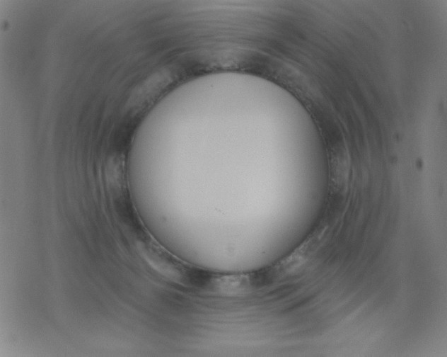 X0000076240126200610122150