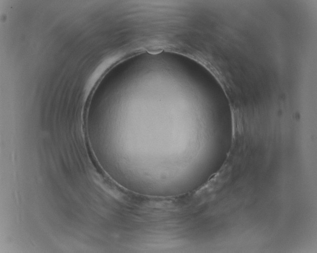X0000076240147200610122149