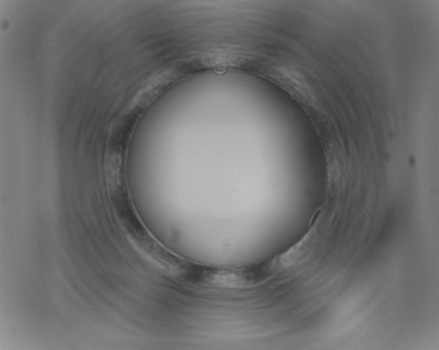 X0000076240171200610122149