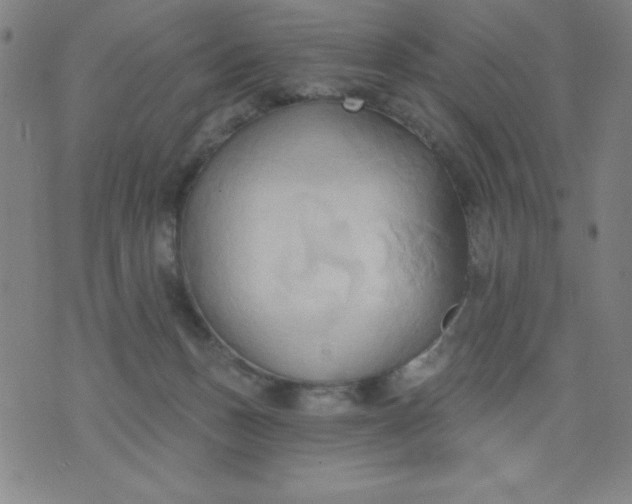 X0000076240175200610122149