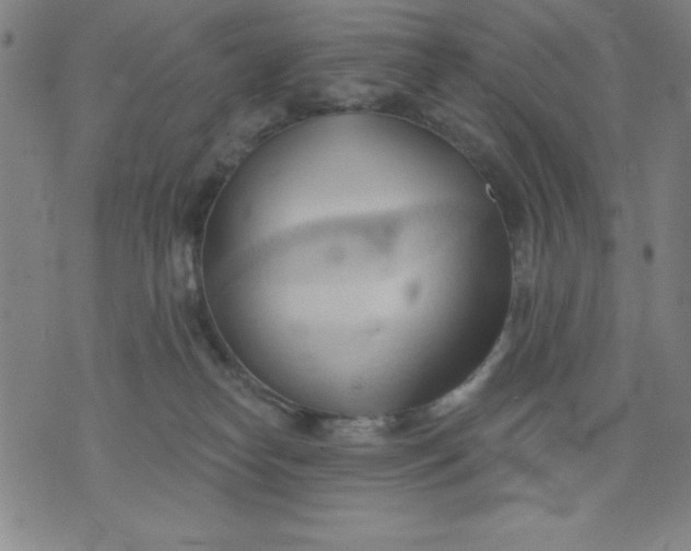 X0000076240182200610122149