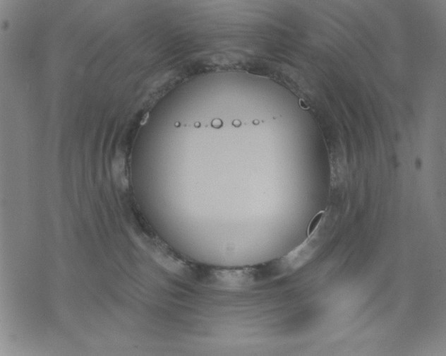 X0000076240187200610122149