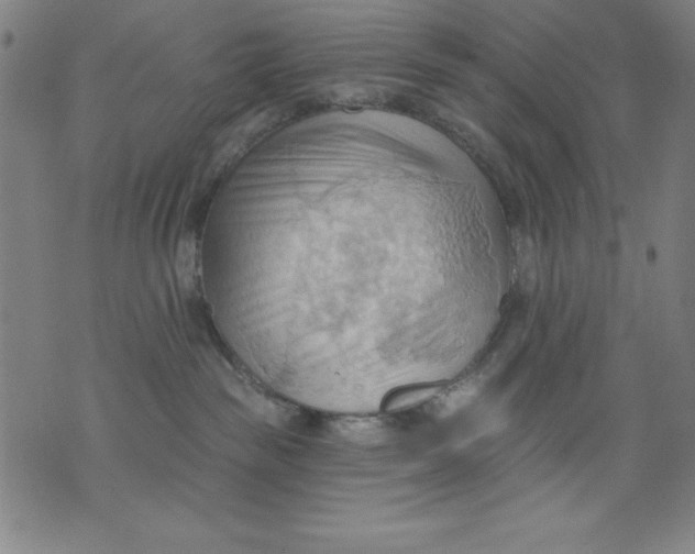 X0000076240189200610122149