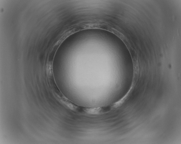 X0000076240191200610122149