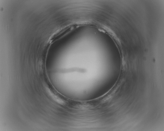 X0000076240201200610122149