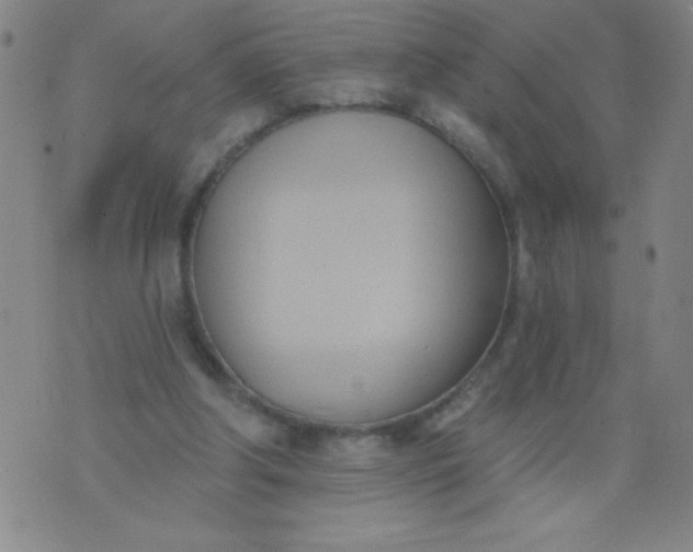 X0000076240202200610122149