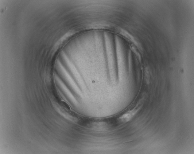 X0000076240203200610122149