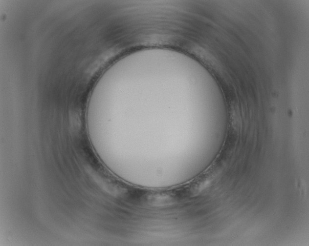 X0000076240208200610122148