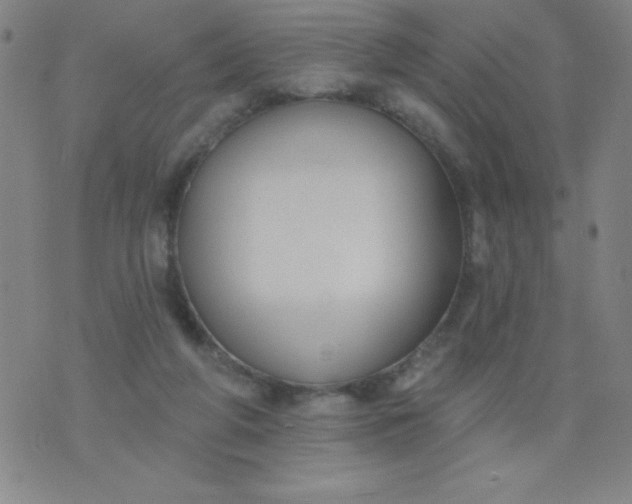 X0000076240210200610122148