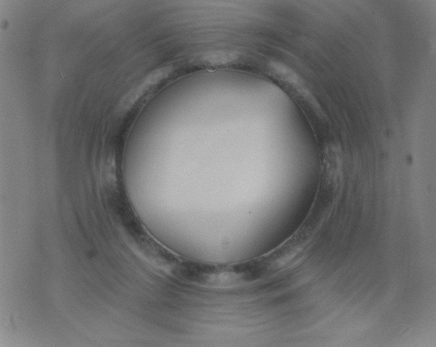X0000076240212200610122148