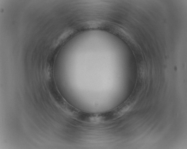 X0000076240216200610122148