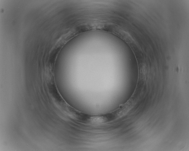 X0000076240218200610122148
