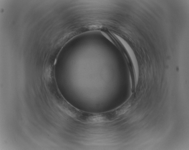 X0000076240219200610122148