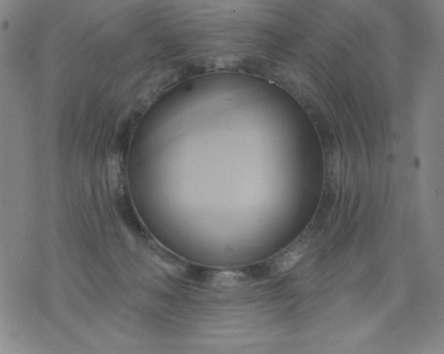 X0000076240222200610122148