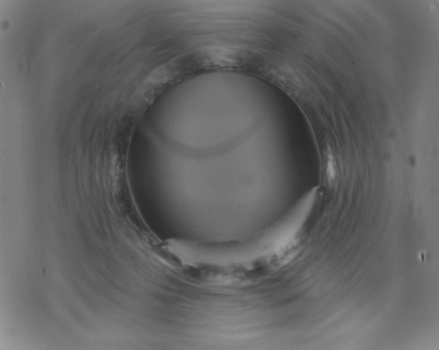 X0000076240223200610122148