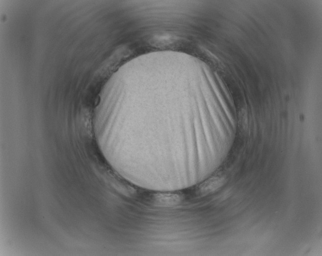 X0000076240234200610122148