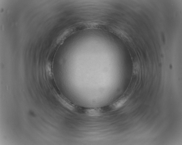 X0000076240238200610122148