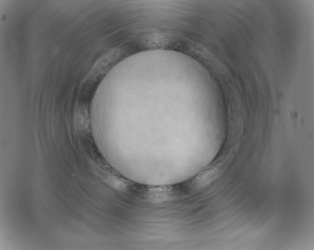 X0000076240240200610122148