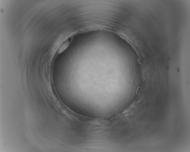 X0000076240241200610122147