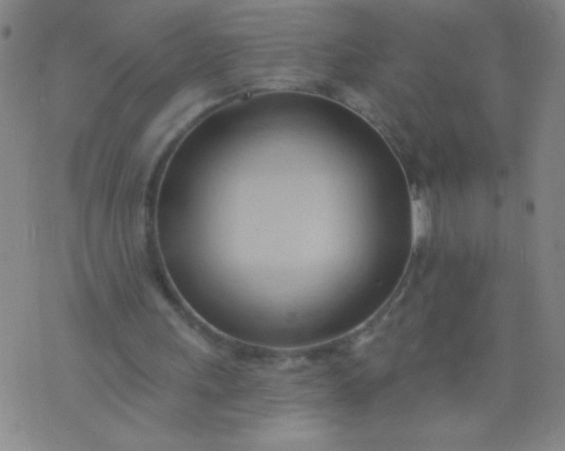 X0000076240243200610122147