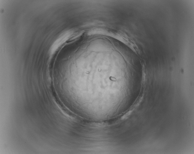 X0000076240245200610122147