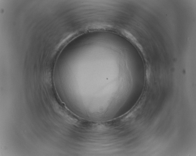 X0000076240249200610122147