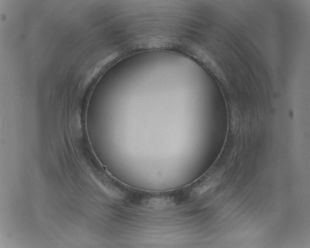 X0000076240251200610122147