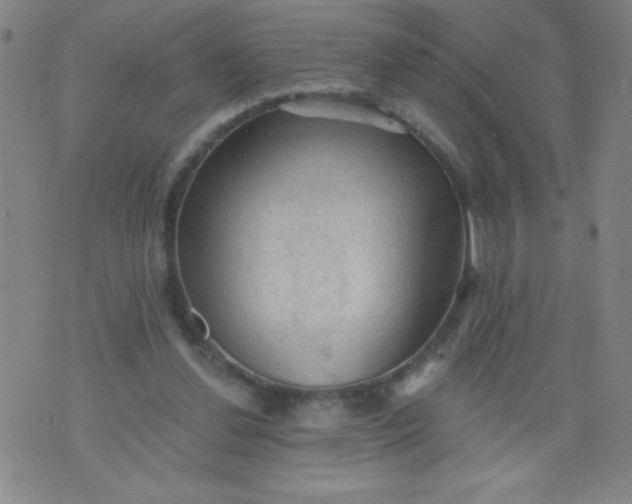 X0000076240252200610122147
