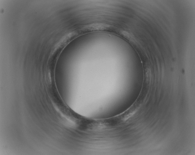 X0000076240254200610122147