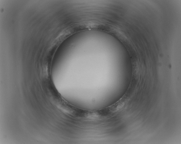 X0000076240262200610122148