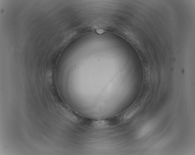 X0000076240269200610122148