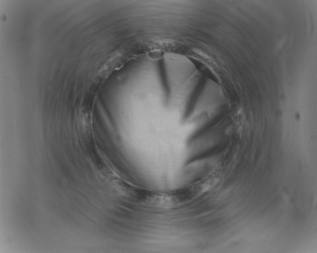 X0000076240276200610122148