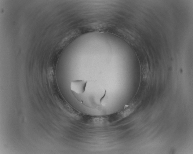 X0000076240279200610122148