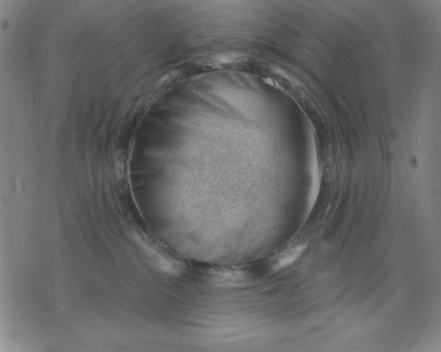 X0000076240284200610122148