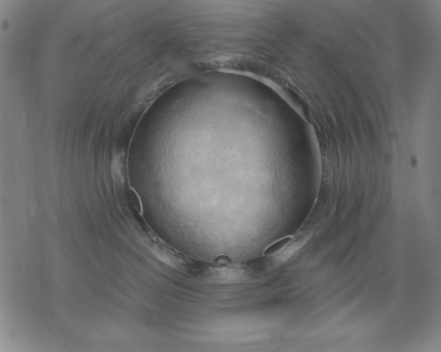 X0000076240286200610122148
