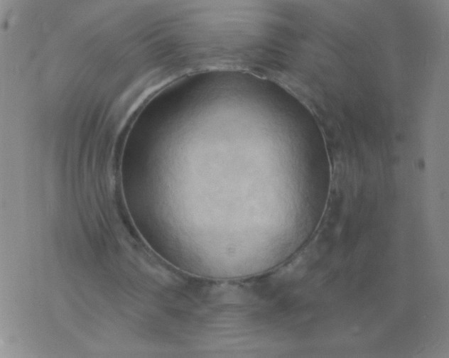 X0000076240290200610122147