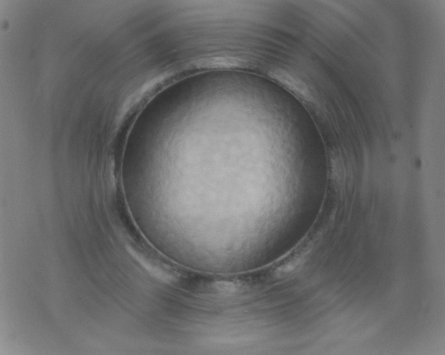 X0000076240302200610122147