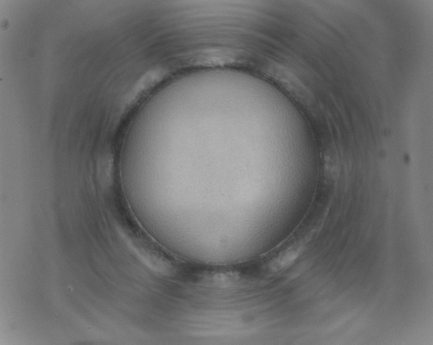 X0000076240304200610122147