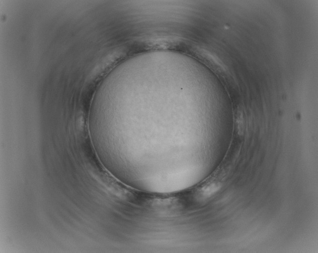 X0000076240314200610122147