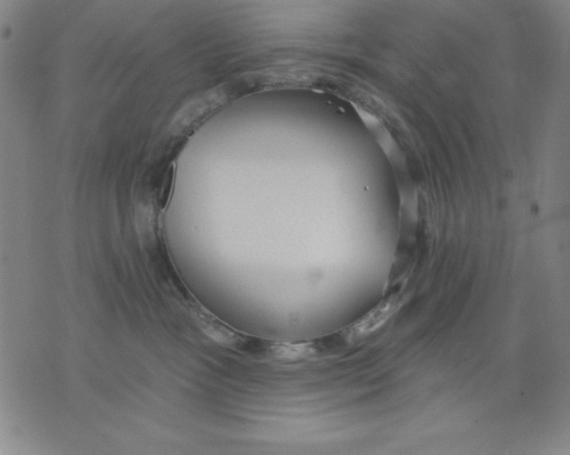 X0000076240333200610122146