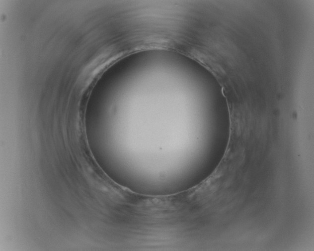 X0000076240338200610122146