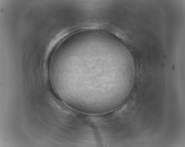 X0000076240343200610122146