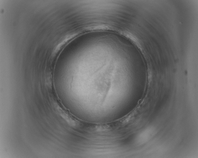 X0000076240345200610122146