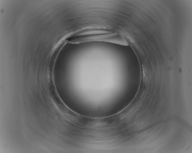 X0000076240348200610122146
