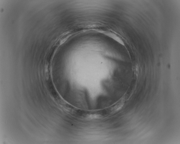 X0000076240360200610122146