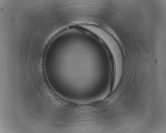 X0000076240387200610122145